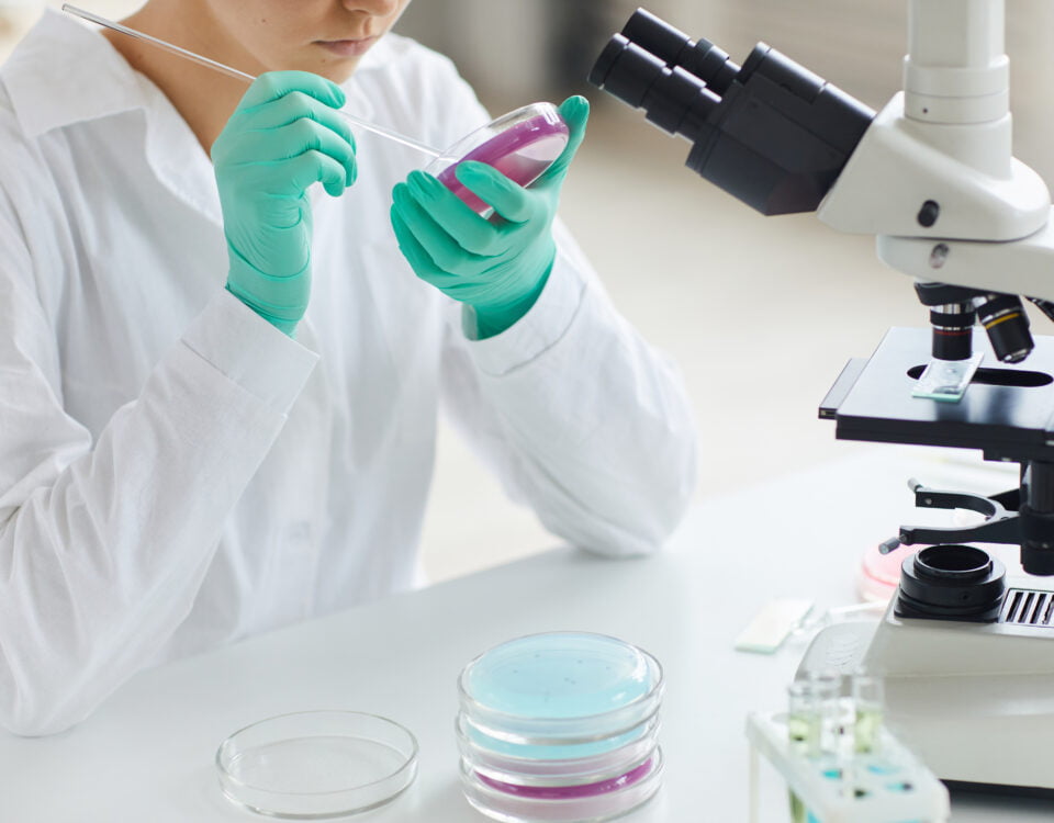 Research in Pharmaceutical Lab